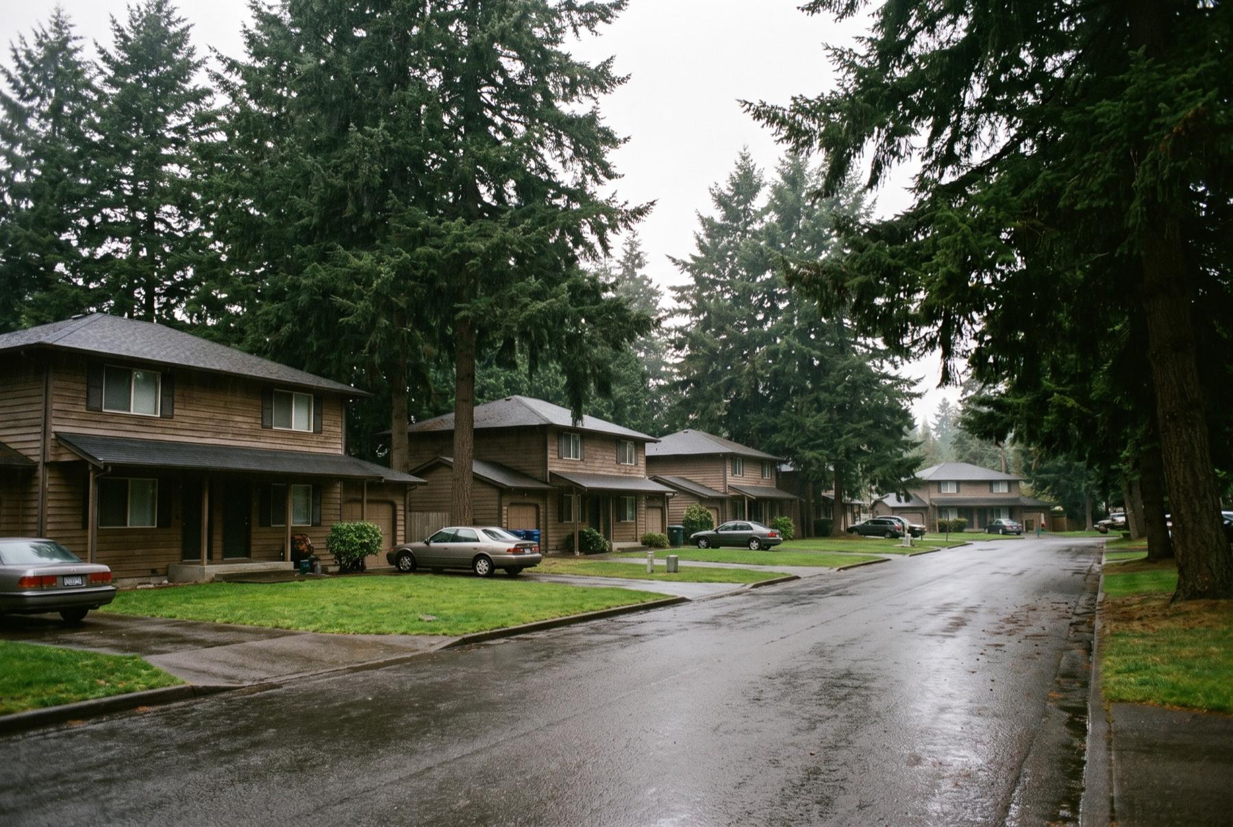 A quiet street of two-story family duplexes with small lawns under tall Douglas firs on a wet, overcast morning